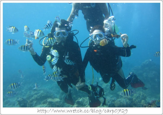 【菲律賓長灘島】潛水初體驗~我看到紅色尼莫了!! @魚樂分享誌