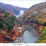 即時熱門文章：【日本旅遊】京都嵐山 龜山公園展望台 絕世賞楓美景