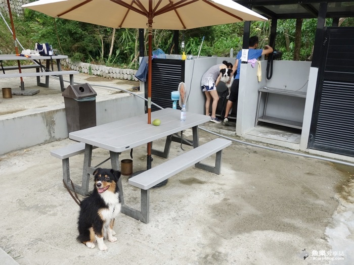 【新北深坑】wow cafe 親子寵物餐廳/狗狗游泳池/輕食下午茶/咖啡廳